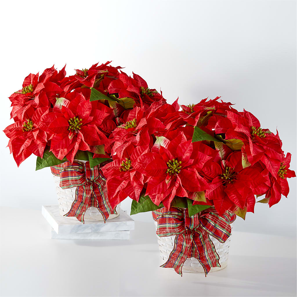 Happiest Holidays Poinsettia Bundle – Unique Flowers And Wedding, Miami FL