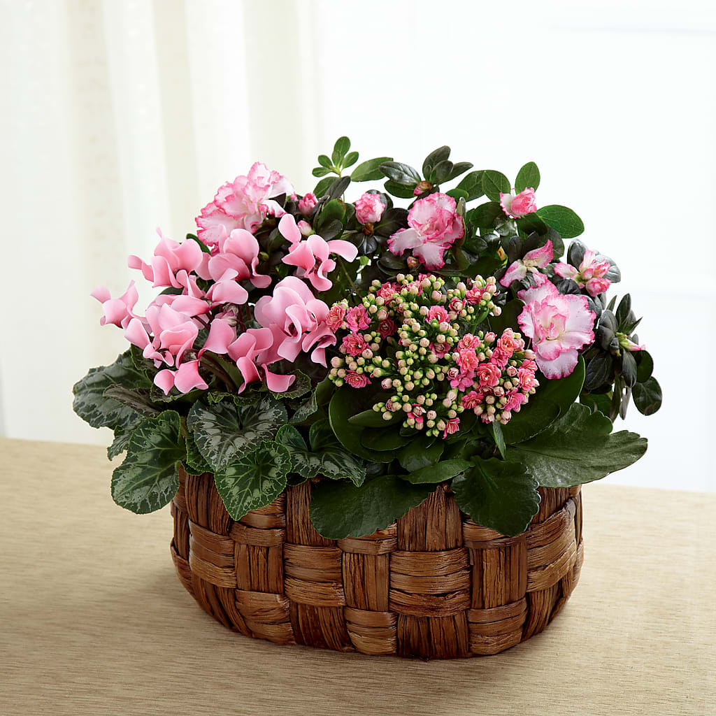 Pink Assortment – Unique Flowers And Wedding, Miami FL
