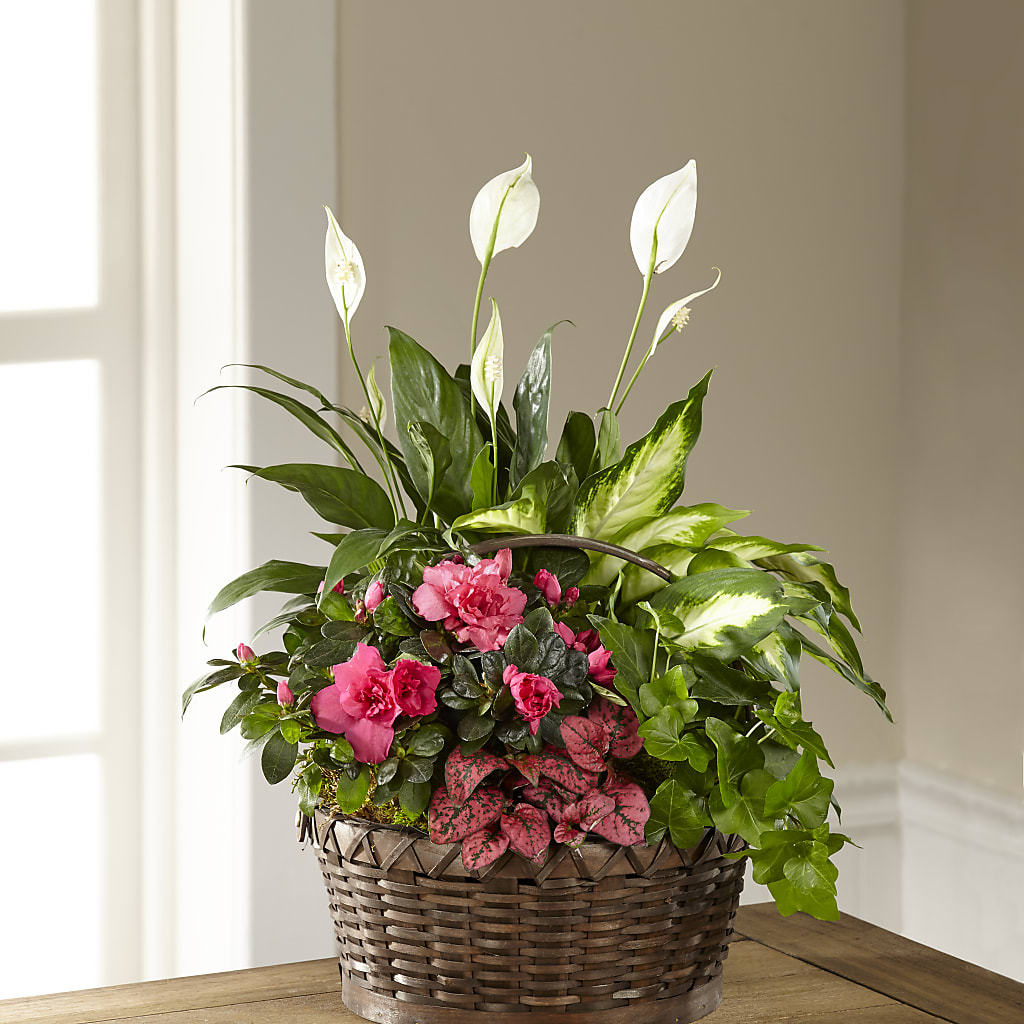 Dream in Pink Dishgarden – Unique Flowers And Wedding, Miami FL