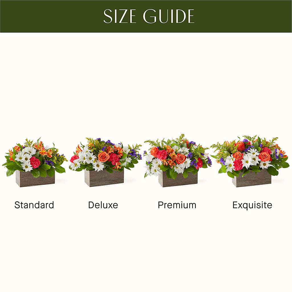 Oopsie Daisy Box Bouquet – Unique Flowers And Wedding, Miami FL