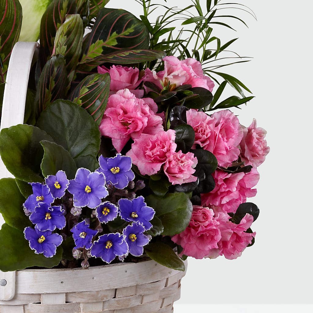 Peaceful Garden Planter – Unique Flowers And Wedding, Miami FL