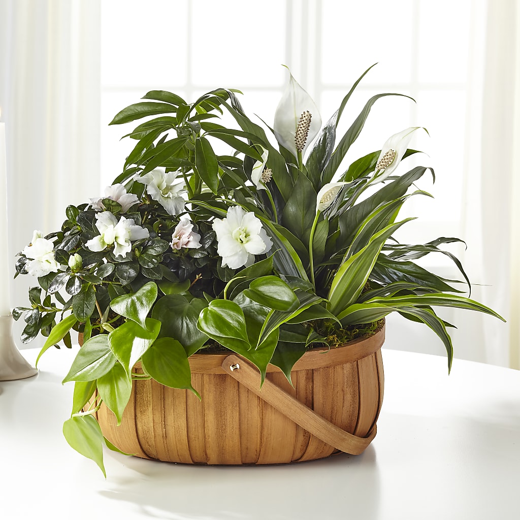 Serene Dishgarden – Unique Flowers And Wedding, Miami FL