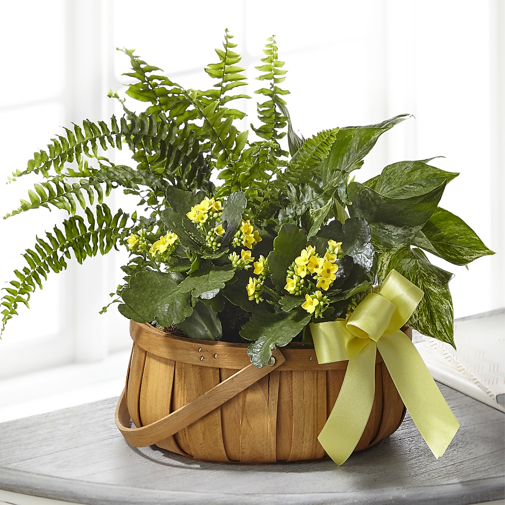 Always Dear Dishgarden – Unique Flowers And Wedding, Miami FL