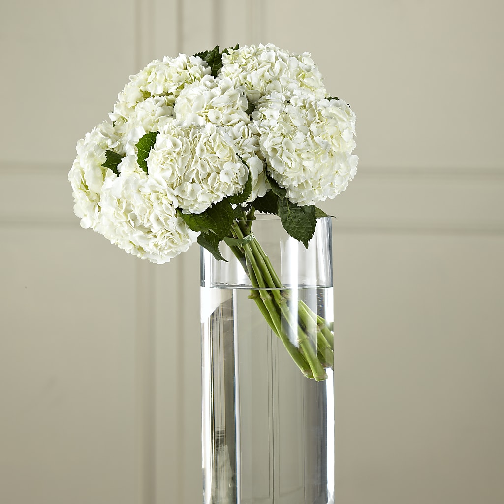 White Hydrangea Hand-Tied Bouquet – Unique Flowers And Wedding, Miami FL