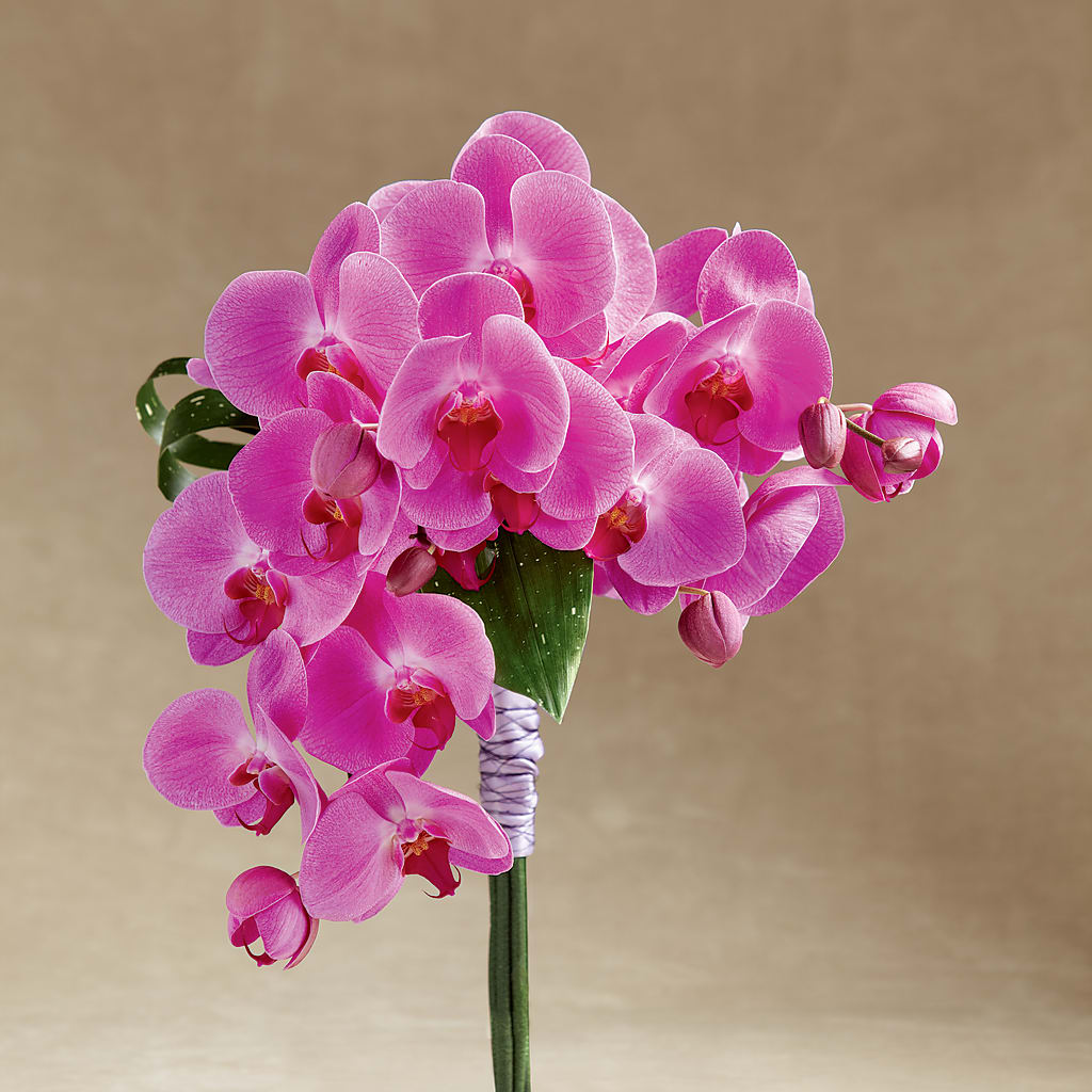 Glorious Bouquet – Unique Flowers And Wedding, Miami FL