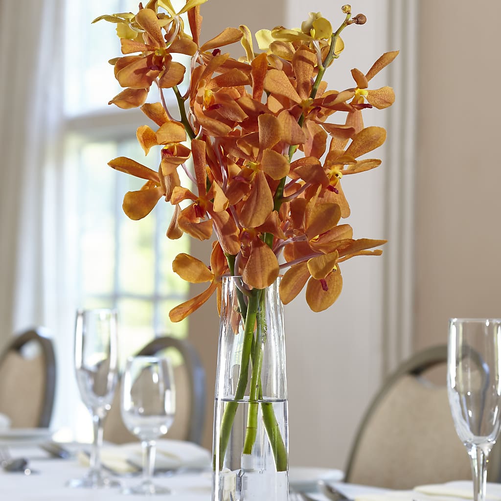 Orange Mokara Bud Vase – Unique Flowers And Wedding, Miami FL