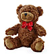 Adorable Plush Bear –  Unique Flowers And Wedding, Miami FL