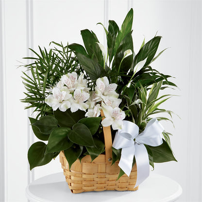 Peace & Serenity Dishgarden –  Unique Flowers And Wedding, Miami FL