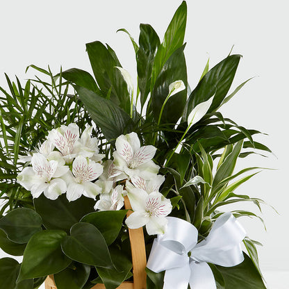 Peace & Serenity Dishgarden –  Unique Flowers And Wedding, Miami FL