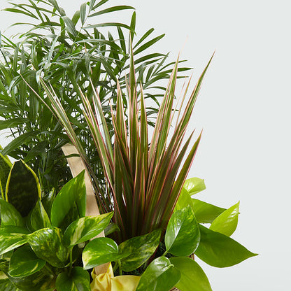 French Garden –  Unique Flowers And Wedding, Miami FL