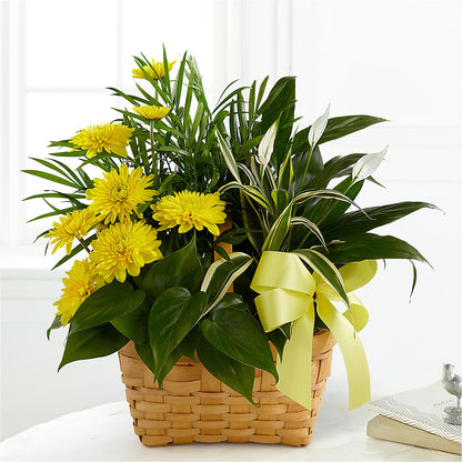 Loving Light Dishgarden –  Unique Flowers And Wedding, Miami FL