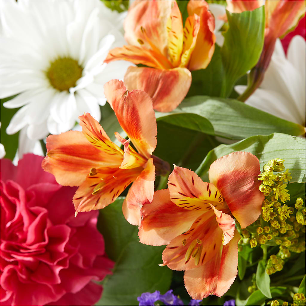 Oopsie Daisy Box Bouquet –  Unique Flowers And Wedding, Miami FL