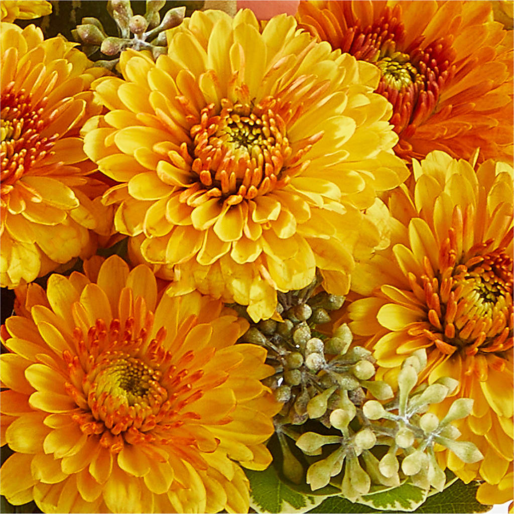Peachy Pumpkin –  Unique Flowers And Wedding, Miami FL