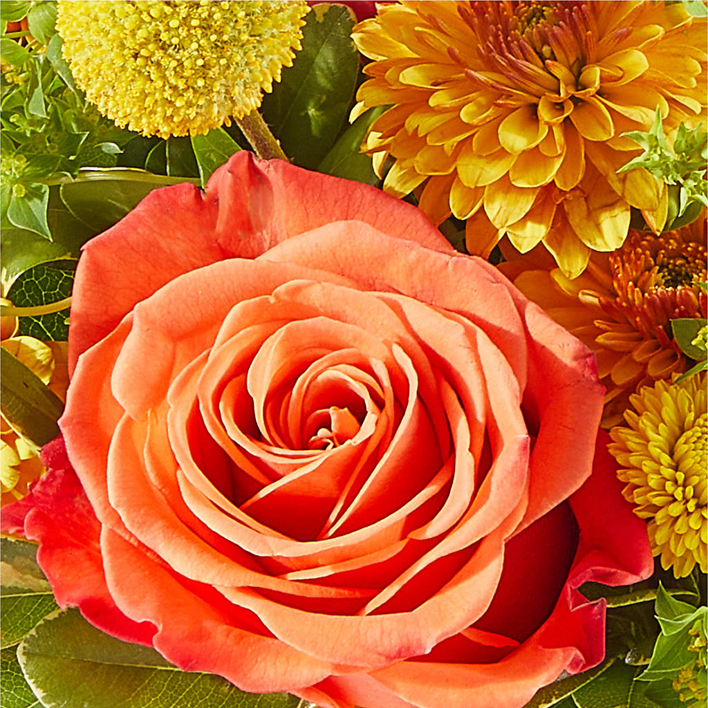 Gourdgeous Pumpkin –  Unique Flowers And Wedding, Miami FL