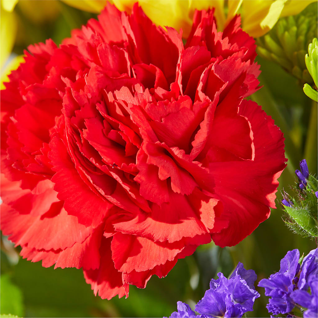Brighter Days Bouquet –  Unique Flowers And Wedding, Miami FL