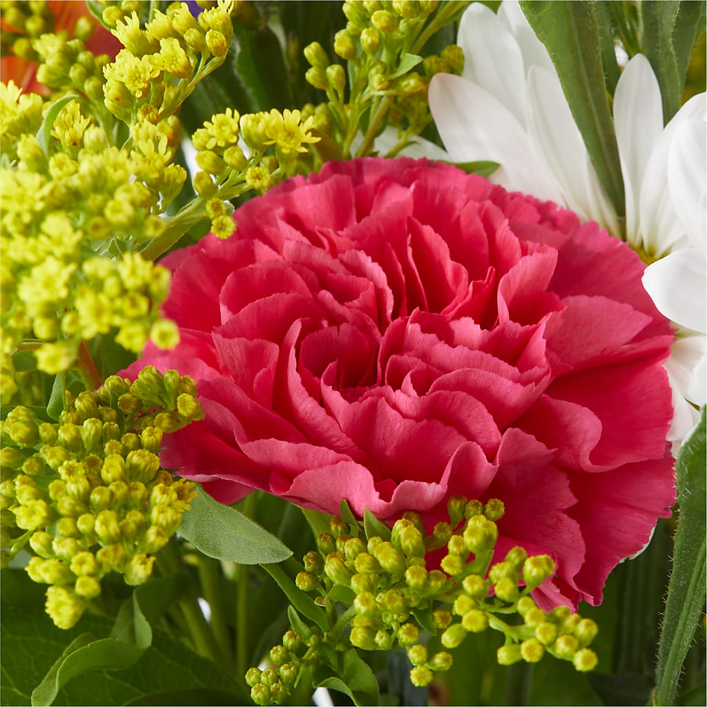 Oopsie Daisy Bouquet –  Unique Flowers And Wedding, Miami FL