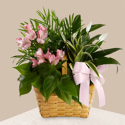Living Spirit Dishgarden –  Unique Flowers And Wedding, Miami FL