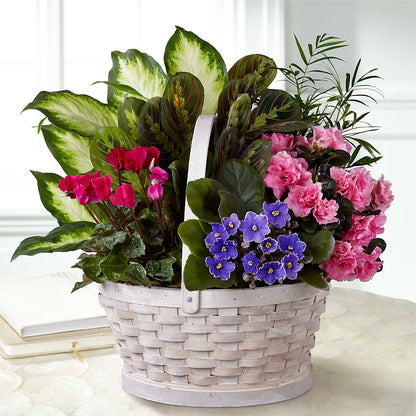 Peaceful Garden Planter –  Unique Flowers And Wedding, Miami FL