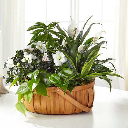 Serene Dishgarden –  Unique Flowers And Wedding, Miami FL