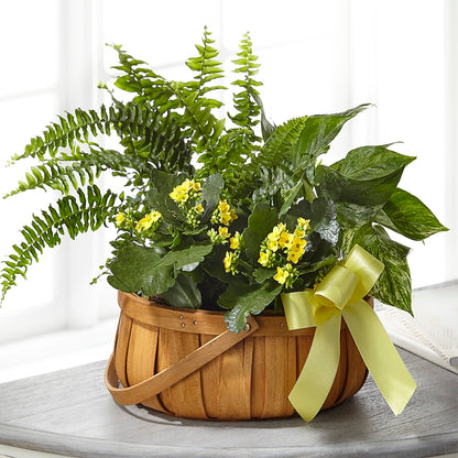 Always Dear Dishgarden –  Unique Flowers And Wedding, Miami FL