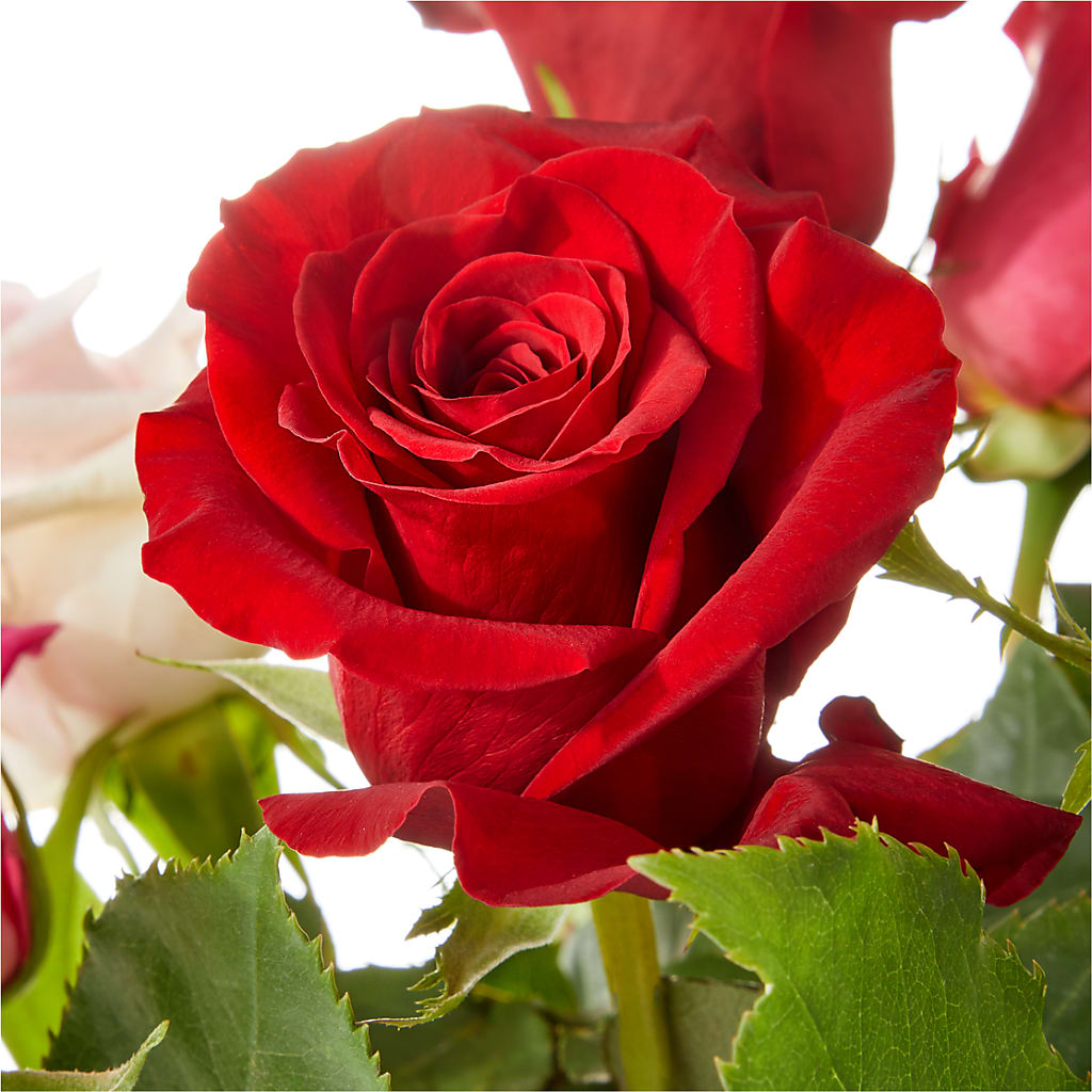 Love Notes Rose Bouquet –  Unique Flowers And Wedding, Miami FL