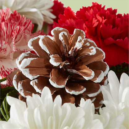 Candy Cane Lane Bouquet –  Unique Flowers And Wedding, Miami FL