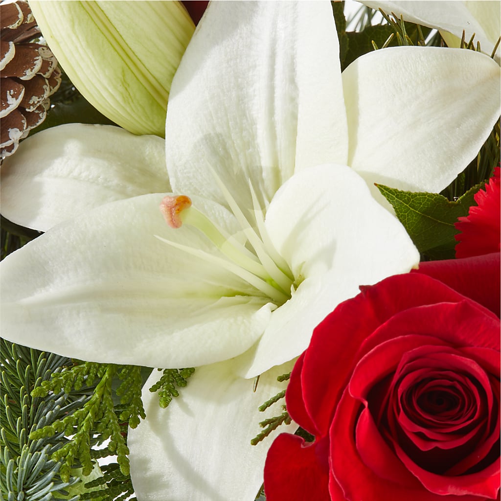 Oh So Jolly Bouquet –  Unique Flowers And Wedding, Miami FL