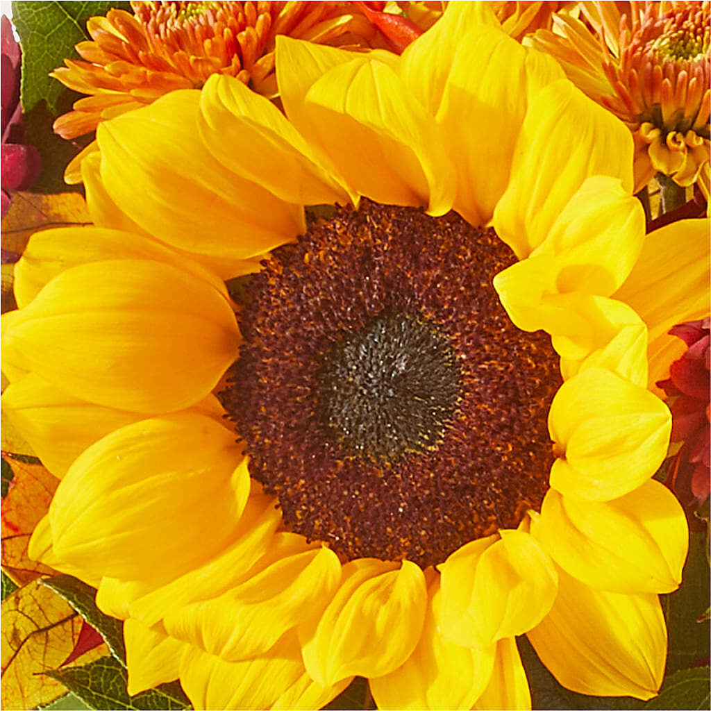 Sunny Side Bouquet –  Unique Flowers And Wedding, Miami FL