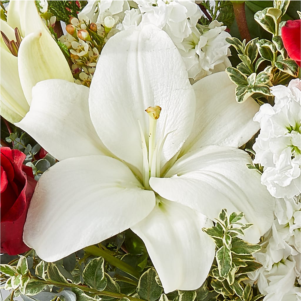 Twinkle Lights Bouquet –  Unique Flowers And Wedding, Miami FL