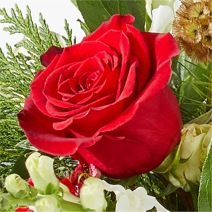 Deck the Halls Bouquet –  Unique Flowers And Wedding, Miami FL