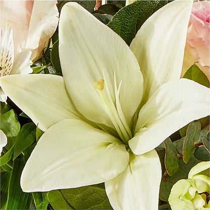 Ballet Slippers Bouquet –  Unique Flowers And Wedding, Miami FL